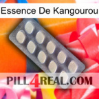 Kangaroo Essence 08